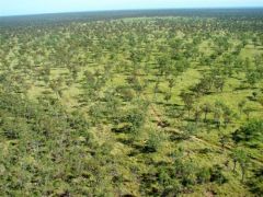 Open country - Click for enlargement