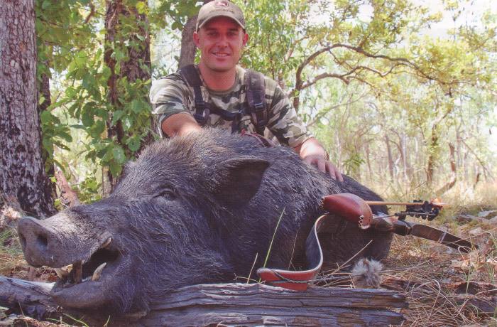 Jeff`s second boar he stalked in the paperbark swamp - Click for enlargement